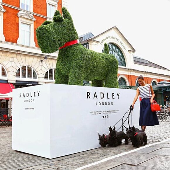 NEW Radley London Rope Walk Croc Embossed Leather Pink Crossbody Handbag $268 - Picture 11 of 11